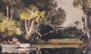 Winslow Homer Homosassa Jungle (mk44) oil on canvas
